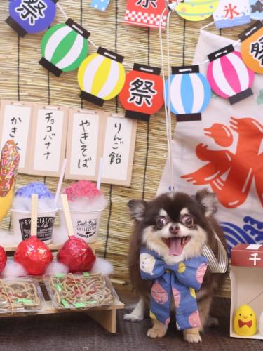 20240703ラブちゃん